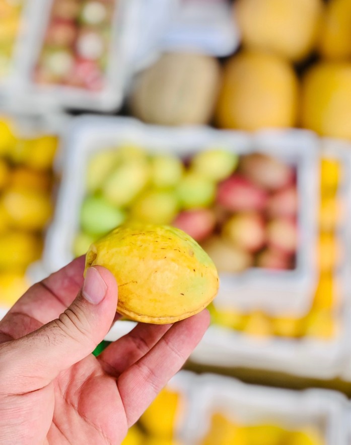 Yellow Tropical Almond