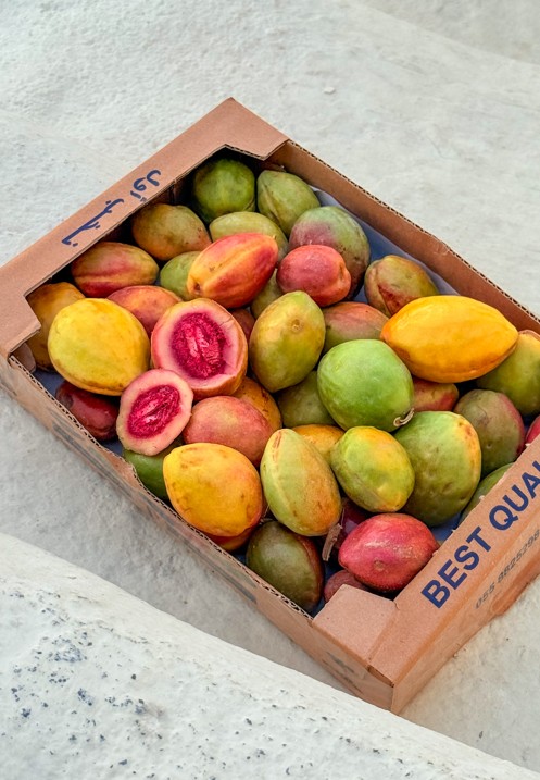 Mixed Tropical Almonds